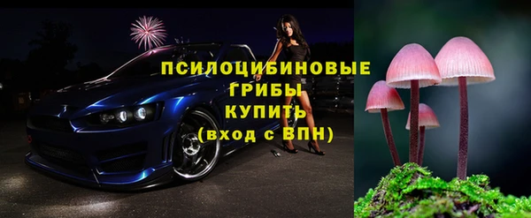 шишки Бронницы