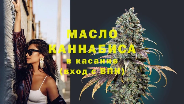 индика Бугульма