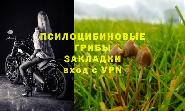 индика Бугульма