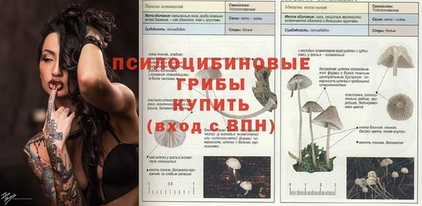 шишки Бронницы