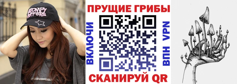 Купить закладки  Апатиты  Галлюциногенные грибы мицелий 